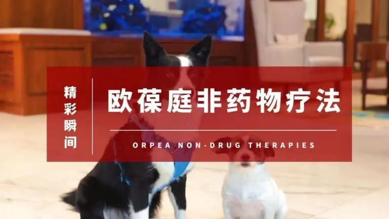 欧葆庭非药物疗法