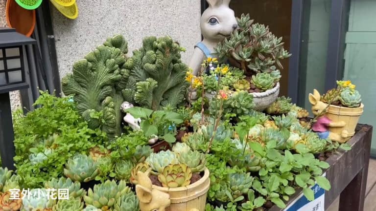 室外花园