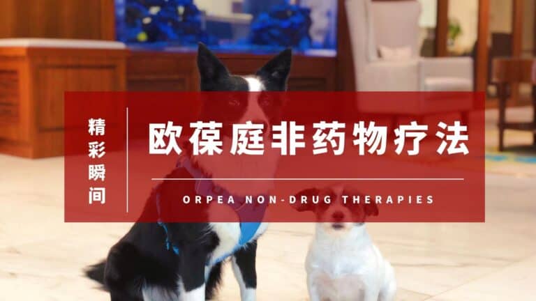 欧葆庭非药物疗法